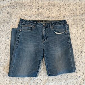 American Eagle Outfitters Men's Relaxed Denim Jeans